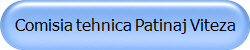 Comisia tehnica Patinaj Viteza